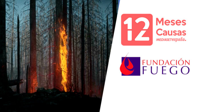 SEC_12Meses_Fuego